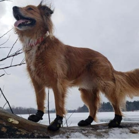 XSY&G Other - XSY & G Dog Shoes Dog Boots (4)- Black Size 4- For 31-40 Lbs Dogs. 2.6”x…